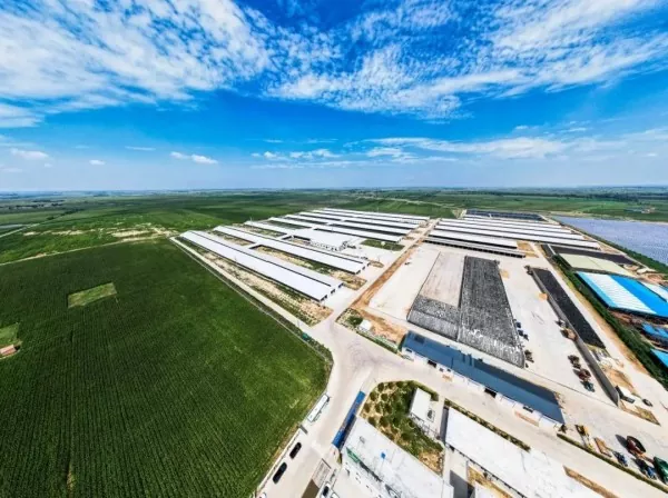 Ŝtalo Strukturo Manĝaĵo Pretiga Fabrikejo